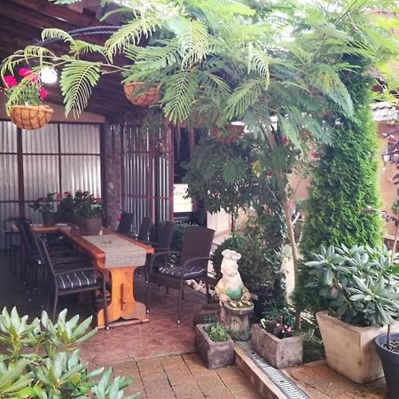 Pensiunea Remus Hotel Novaci-Straini Ngoại thất bức ảnh