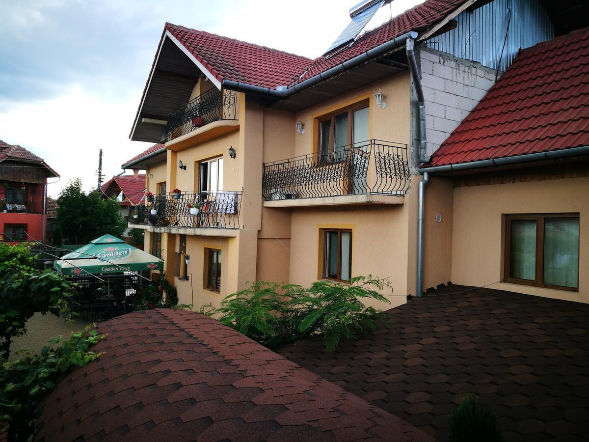 Pensiunea Remus Hotel Novaci-Straini Ngoại thất bức ảnh