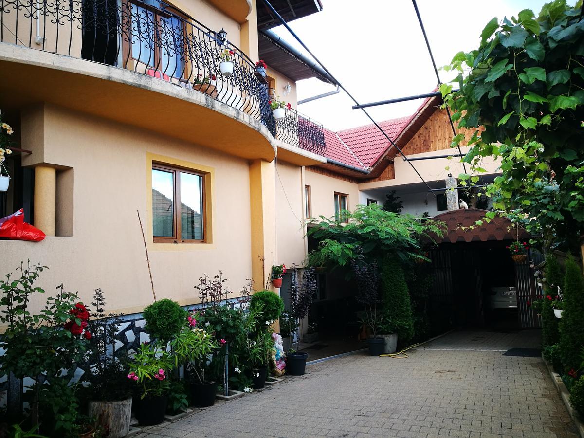 Pensiunea Remus Hotel Novaci-Straini Ngoại thất bức ảnh