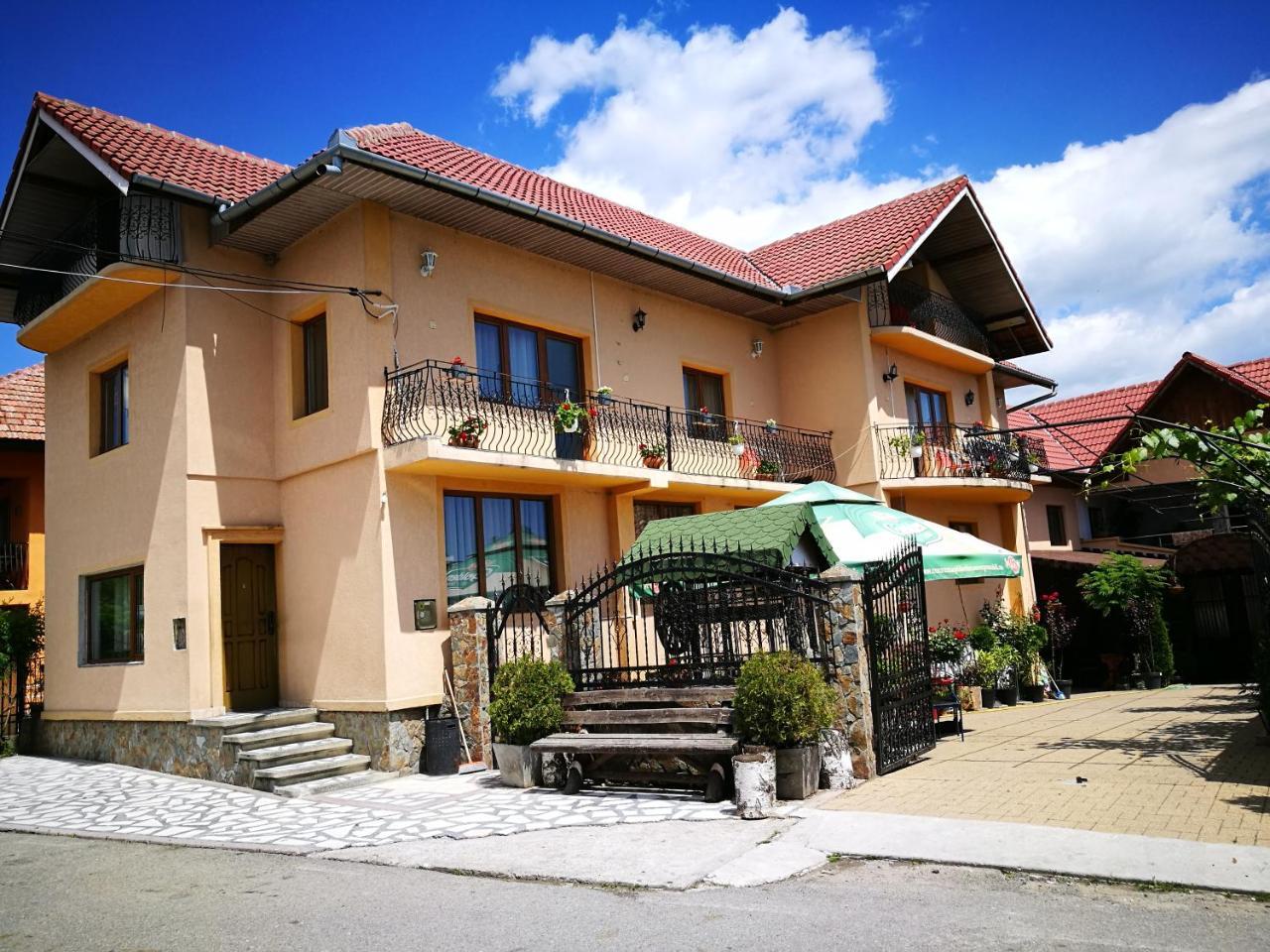 Pensiunea Remus Hotel Novaci-Straini Ngoại thất bức ảnh