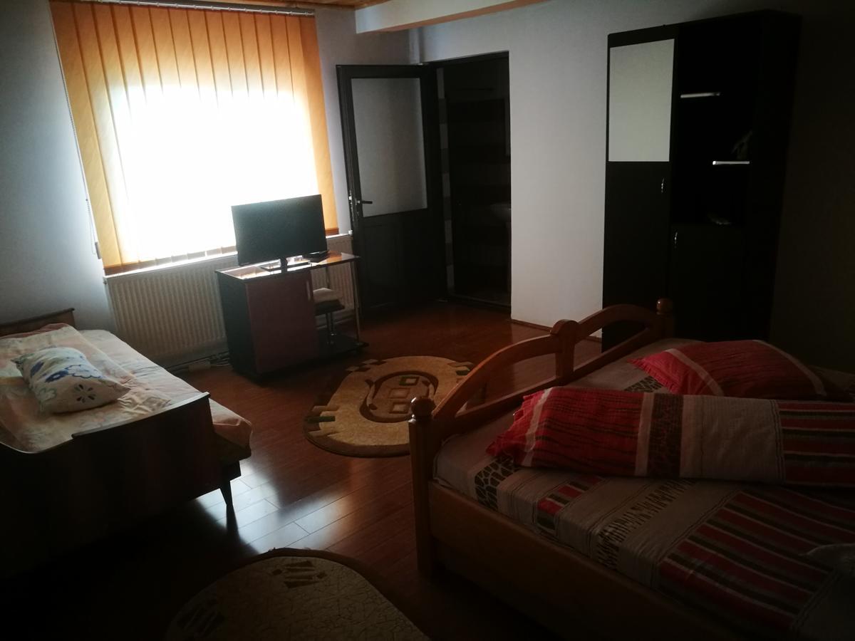 Pensiunea Remus Hotel Novaci-Straini Ngoại thất bức ảnh