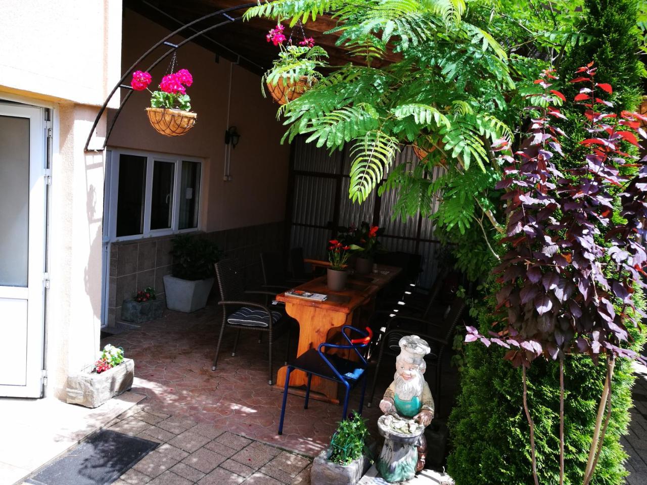 Pensiunea Remus Hotel Novaci-Straini Ngoại thất bức ảnh
